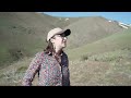 Sheep graze hillsides near Carson City to help mitigate wildfire risk