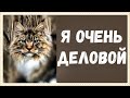 Прикольные Котята и Кот Вилли, 45 серия