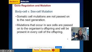 Module 11 Video 2 Honors Biology