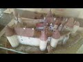 Разоблачение мифа об отсутствии туалетов в средневековых замках