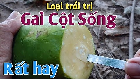 Bài thuốc Đặc trị Gai Cột sống. PHAN HẢI channel.