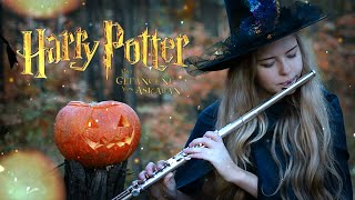 Double Trouble - Flute Cover Ost Harry Potter