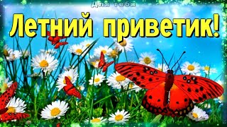 Летний приветик! С добрым утром и хорошим днем!  Музыкальная открытка #Длятебя