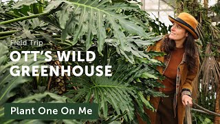 OTT'S GREENHOUSE Tour Will Make You Green With Envy! - Ep. 272