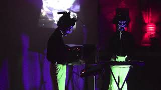 Macula Dog at AR198 on May 6, 2019 at The Atlantic, Gainesville, FL