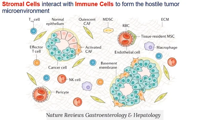 Deciphering Immuno-Oncology:  Targeting Cellular Mechanisms of the Tumor Immune Response - DayDayNews