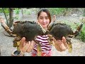 Yummy Mud Crab Curry Stir Fry - Cooking Skill