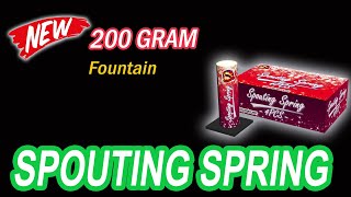 SPOUTING SPRING - 200gram fountain