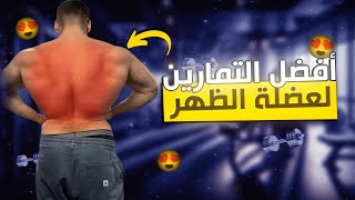 تمرين ظهر للاعب كمال اجسام طبيعي