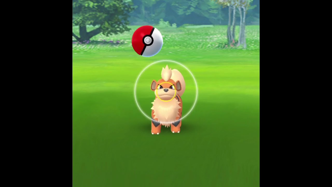 Pokémon Go Evolutions Growlithe Evolves Into Arcanine! UltraDynamic