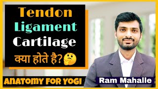 Ligaments, tendons, cartilage, meniscus | Anatomy for Yoga teachers | @RamMahalle Differences Between Tendons And Ligaments Tendons Vs Ligaments Examples