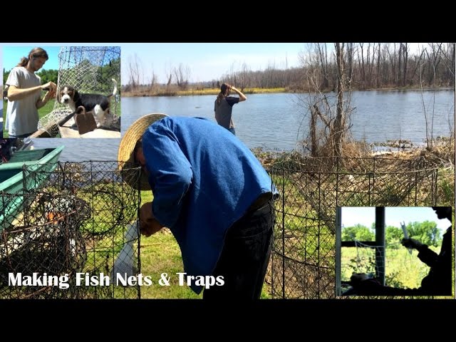 Setting a hoop net for turtles 