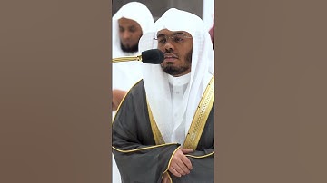 يا بني اركب معنا ولا تكن مع الكافرين ~ تلاوة بتحبير آسر للشيخ ياسر الدوسري - التلاوة كاملة بالوصف