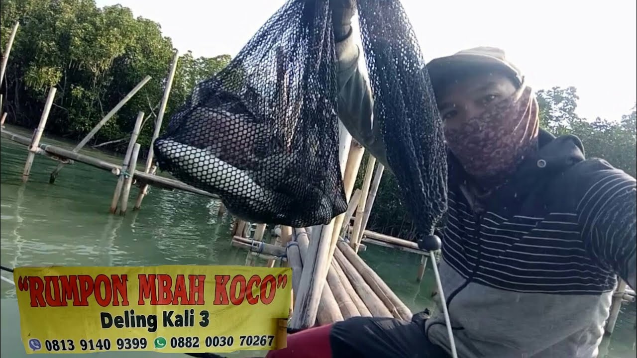 Explore rumpon kali 3 Deling punya mbah Koco terkini II ikan rucah mubal