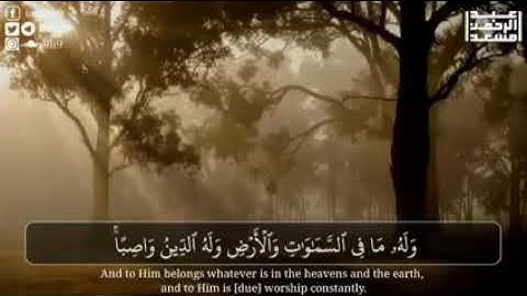 [ وما بِكُم من نِعمَة فَمِنَ اللّه] القارئ :عبدالرحمن مسعد 🌱