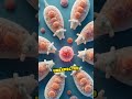 Nature’s Real-Life Animal Hybrids Unveiled