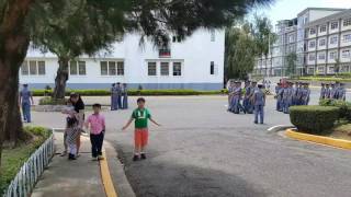 PMA 07262016