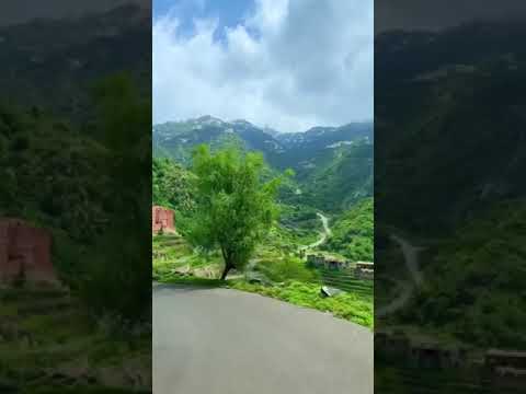 اعيدي لنا مجد أسلافنا ايوب طارش اغاني وطنية اليمن وصاب موسيقى