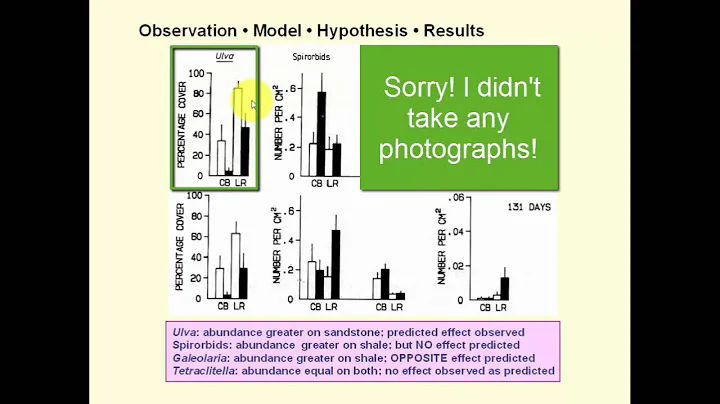 Sampling versus manipulative experiments: an example