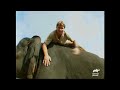 Steve's Favorite Wild Creatures of SEASON 3 | The Crocodile Hunter | Animal Planet