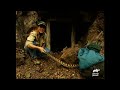 Steve's Favorite Wild Creatures of SEASON 3 | The Crocodile Hunter | Animal Planet