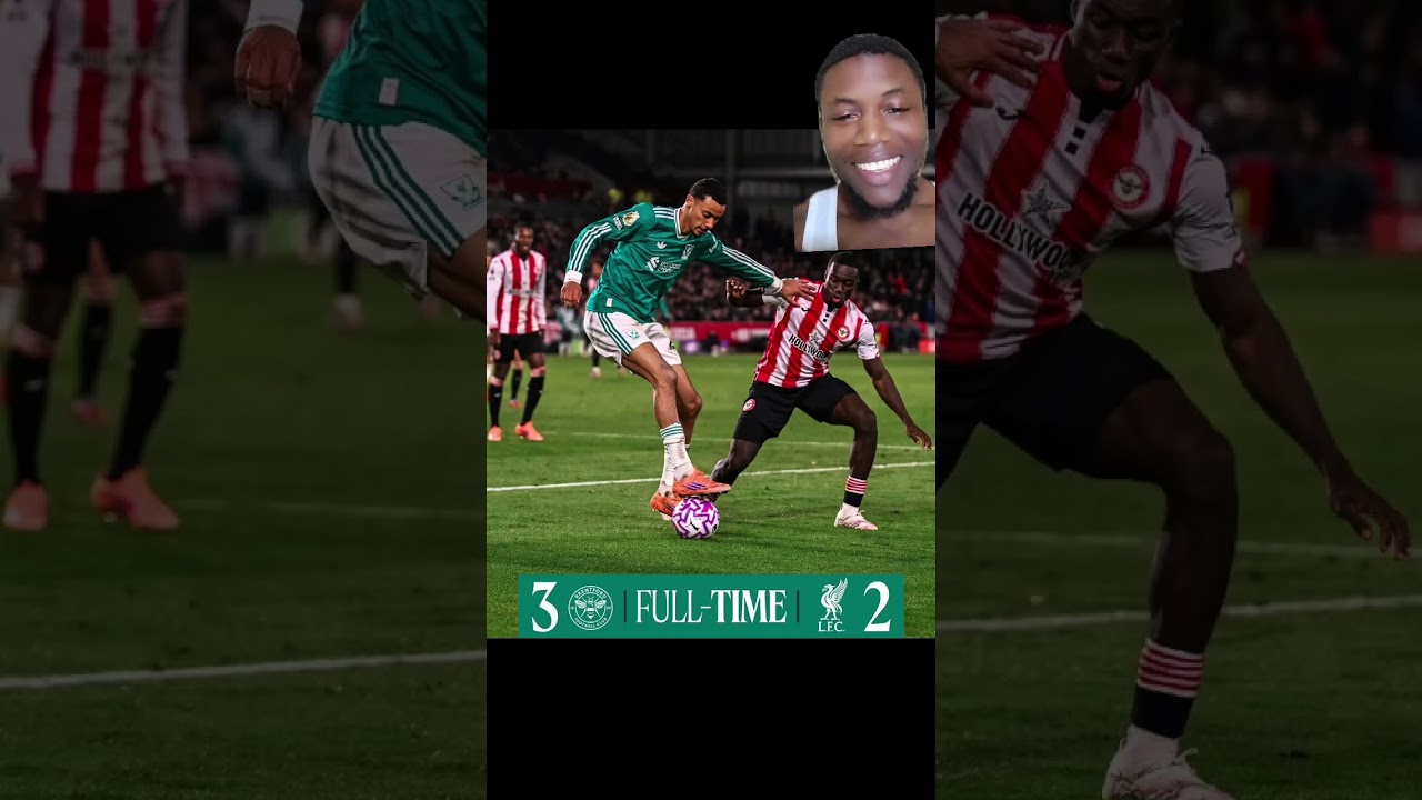 THE BEES THEM KILL THE BIG DOGS 🤣🤣🤣 