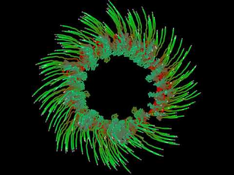 Collatz Conjecture + Unit Circle