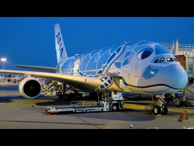 【新品未開封】ANA Airbus A380 FLYING HONU 1/200 全日空商事 A380 ANA 全日空 FLYING HONU(フライングホヌ/ラニ