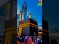mucca edite.#mucca #ytshorts #islam #foryou