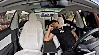 Taking A Nap While The Gang Is Locked Out Of The Car..