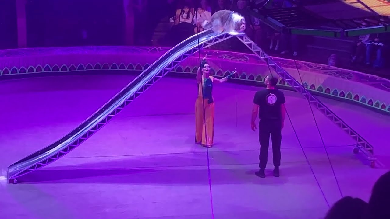 Цирк-Тропик-шоу в г.Луганске часть-1 (27.09.25)