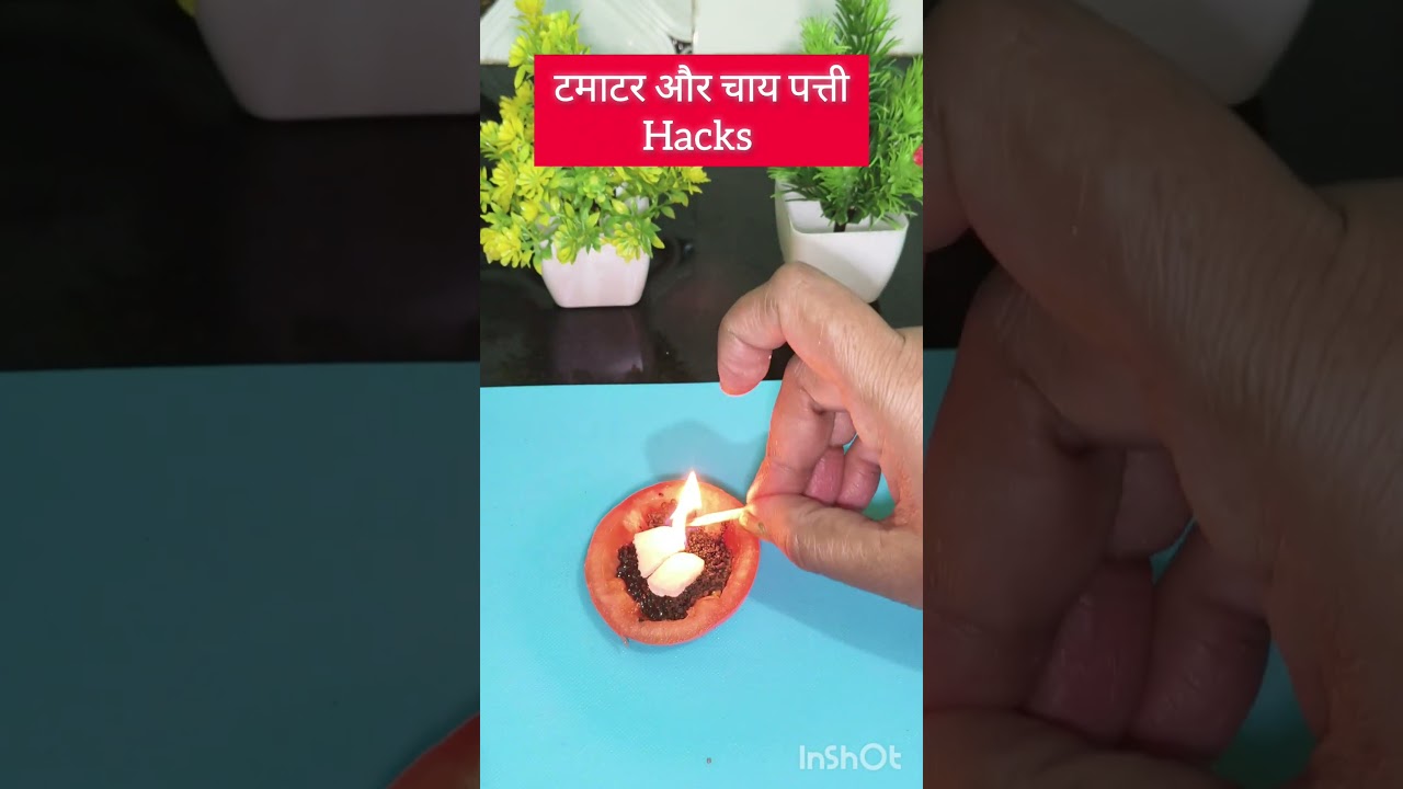 Tomato 🍅 Chaipatti ki useful Tips ✅