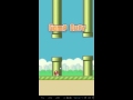 Flappy Bird Gameplay on PC