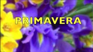 Video thumbnail of "PRIMAVERA MARINA REI"