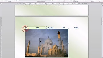 Microsoft Word Columnas