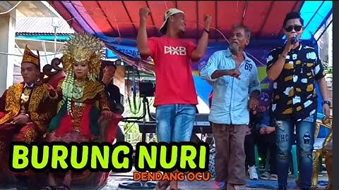 DENDANG OCU~BURUNG NURI~ANITHA~FARIZ MUSIC@hendrichanelhdc