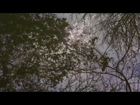David Gray - 'Smoke Without Fire' (Official Video)
