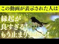 【幸運の連鎖】幸運が幸運を呼び、奇跡が止まらなくなります。小さなラッキーから大きな幸運まで、流れはすでに加速しています。