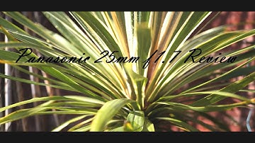 REVIEW OF THE BEST PANASONIC BUDGET LENS 4K - Lumix 25mm f1.7 - Panasonic GH5