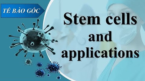 Stem cells and applications (Part 1)