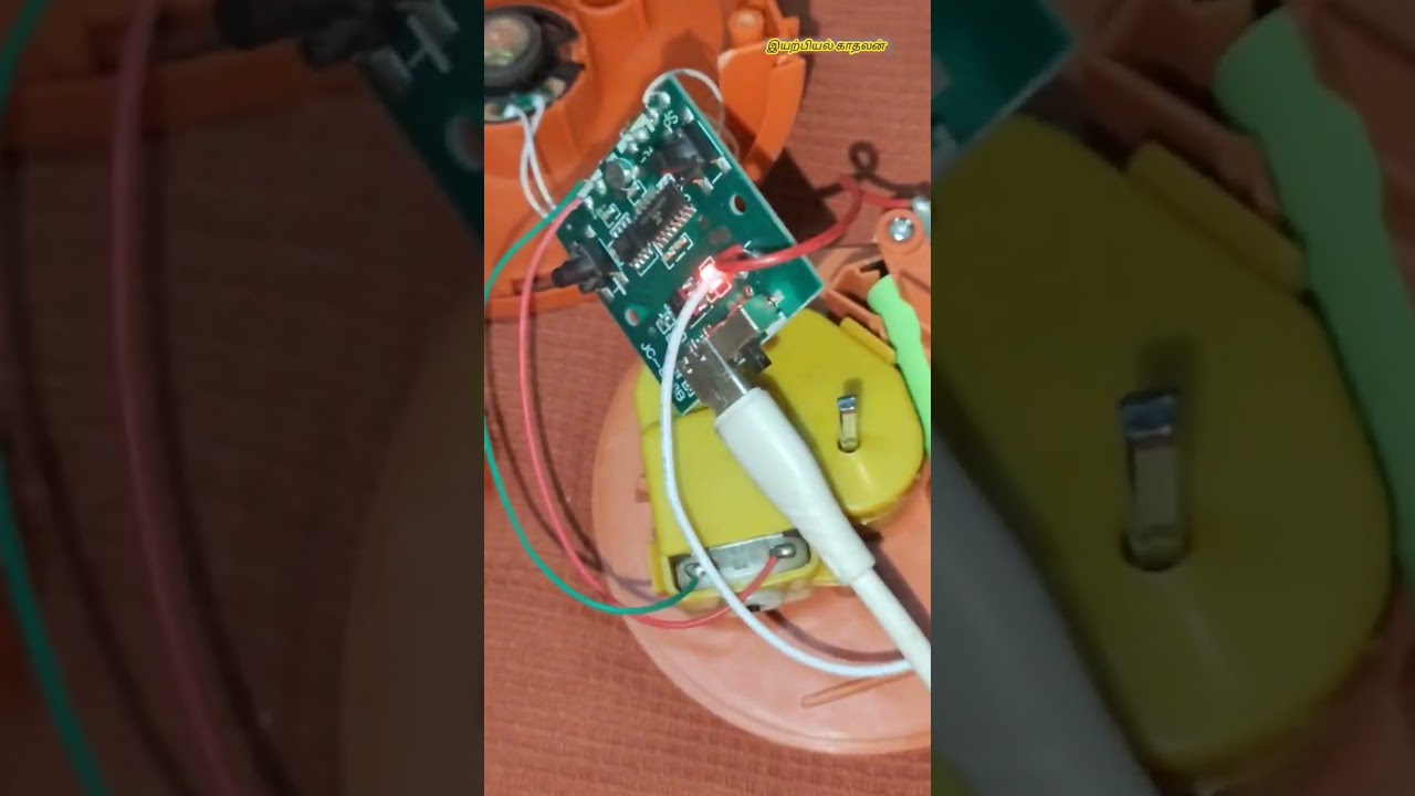 dancing cactus repair