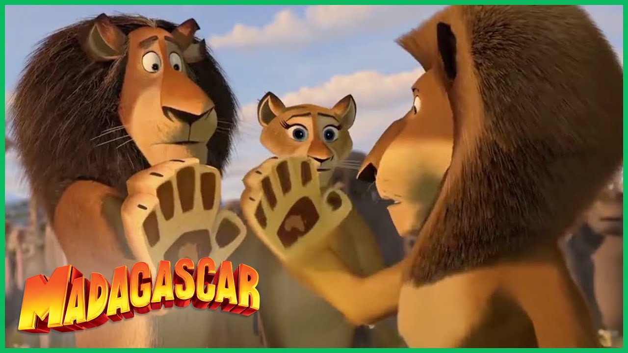 DreamWorks Madagascar em Português, Moto Moto - Madagascar 2: A Grande  Escapada