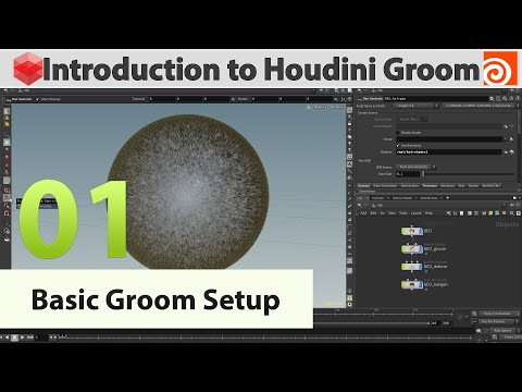 01 - Introduction to Houdini Groom - Basic Groom Setup