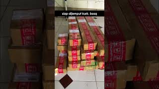 Seperti Apa Proses Packing Alpukat Kelud Cek alpukat jualbibit tanaman bibitbuah jakarta