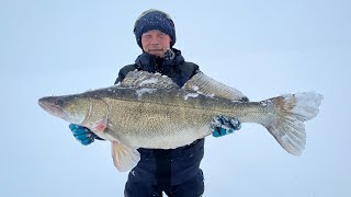 СУДАК МОНСТР ПОЙМАН! Рыбалка НА ВИБЫ в Камском Устье