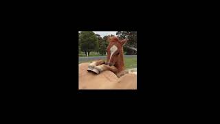 Not Anywhere - Alex G (Sped)