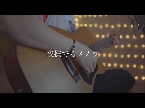 夜撫でるメノウ/Ayase (Acoustic covered by あれくん)