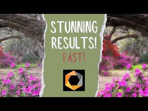 How To ACTUALLY Use Nik Color Efex 7 for Nature Photography