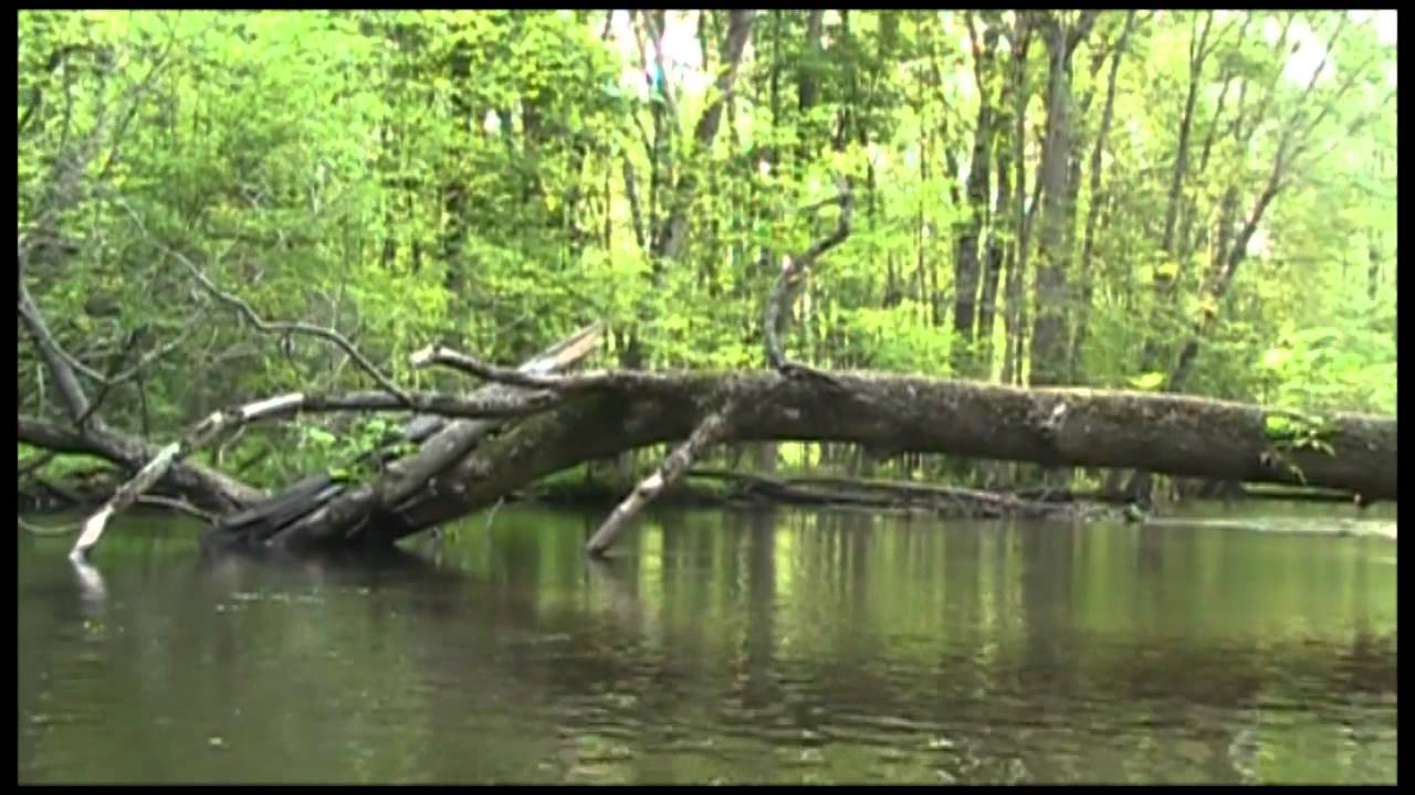 Kayaking the Kalamazoo River 6411 YouTube