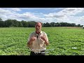 Why we need your help growing resilience with CISA's Executive Director, Phil Korman